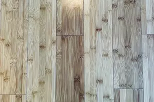 12 Ripley St, Somerset, MA 02725 - Photo 38