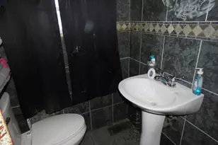 12 Norton St, Boston, MA 02136 - Photo 12