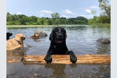 493 Concord Ave., Cambridge, MA 02138 - Photo 32