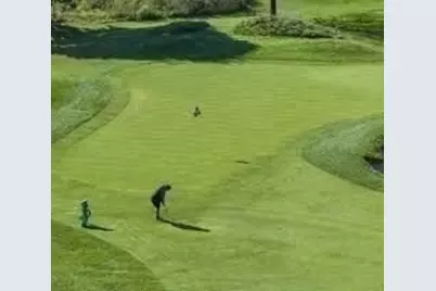 493 Concord Ave., Cambridge, MA 02138 - Photo 34