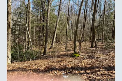 Lt 55 Wendell Rd, New Salem, MA 01355 - Photo 6