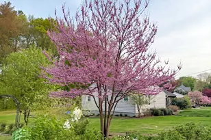 51 Candice Cir, Springfield, MA 01107 - Photo 32