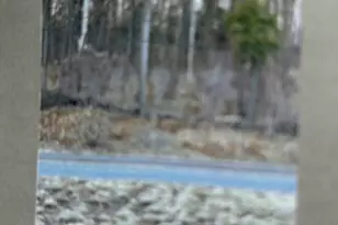 134 Leominster Rd, Sterling, MA 01564 - Photo 1