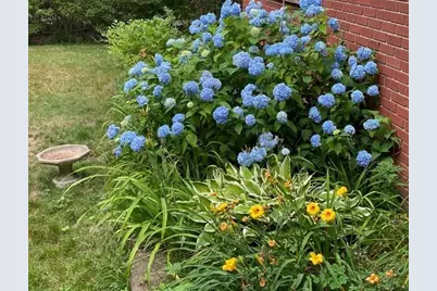 159 South Bradford St, North Andover, MA 01845 - Photo 34