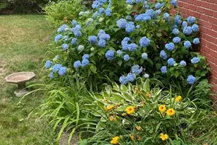 159 S Bradford St, North Andover, MA 01845 - Photo 34