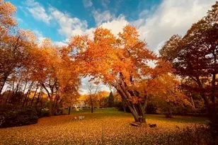 159 S Bradford St, North Andover, MA 01845 - Photo 30