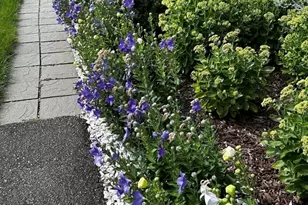 15 Atwood Ave, Norwood, MA 02062 - Photo 24