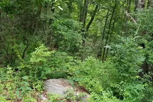 186 Spring St, Hopkinton, MA 01748 - Photo 34