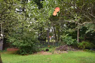 696 Summer, Rockland, MA 02370 - Photo 32