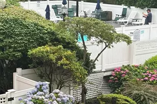 20 Webster St, Brookline, MA 02446 - Photo 18