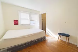 45 Lawn St, Boston, MA 02120 - Photo 16