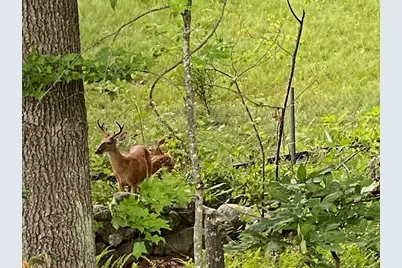 55 Phoebe St #32, Methuen, MA 01844 - Photo 36