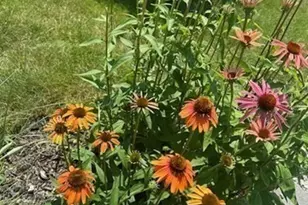 216 Gray Rd, Templeton, MA 01468 - Photo 30