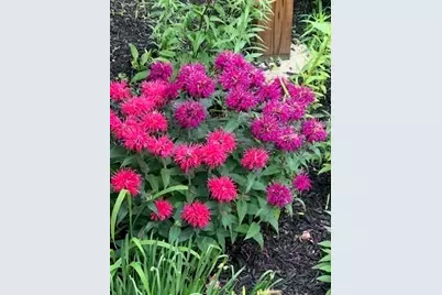 216 Gray Rd, Templeton, MA 01468 - Photo 32