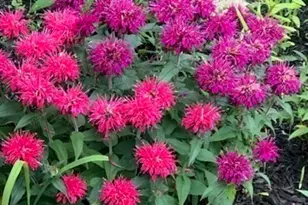 216 Gray Rd, Templeton, MA 01468 - Photo 32