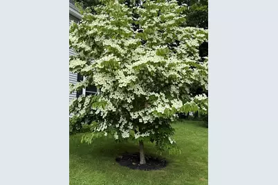 54 Jackson St, North Attleboro, MA 02763 - Photo 40