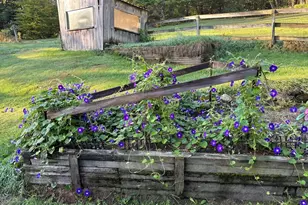 116 Spencer Rd, Oakham, MA 01068 - Photo 4