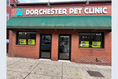 103 Savin Hill Ave, Boston, MA 02125 - Photo 10