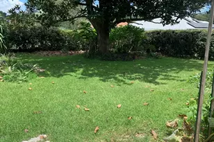 3441 N Honeylocust Dr, Beverly Hills, FL 34465 - Photo 10