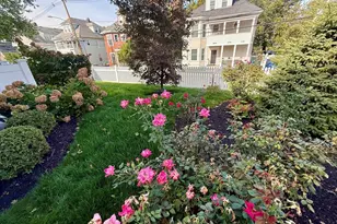 23 Orchard, Newton, MA 02458 - Photo 18