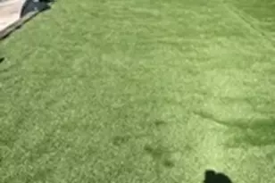 38 Cherry St, Somerville, MA 02144 - Photo 14