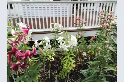 25 Fairhaven Rd, Concord, MA 01742 - Photo 40