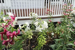 25 Fairhaven Rd, Concord, MA 01742 - Photo 40