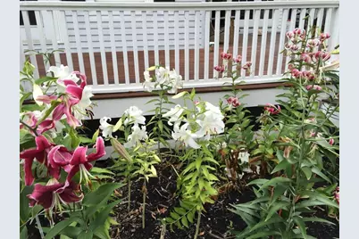 25 Fairhaven Rd, Concord, MA 01742 - Photo 40