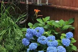 18 Windemere Rd, Worcester, MA 01602 - Photo 34