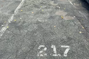 32 Whites Ave, Watertown, MA 02472 - Photo 38