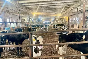 70 Wheaton Ave, Rehoboth, MA 02769 - Photo 22