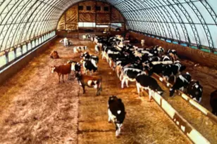 70 Wheaton Ave, Rehoboth, MA 02769 - Photo 24