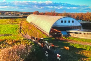 70 Wheaton Ave, Rehoboth, MA 02769 - Photo 30