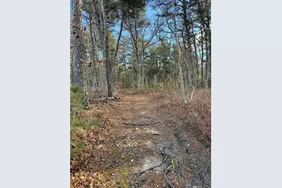 5 Bentley Rd, Harwich, MA 02645 - Photo 4