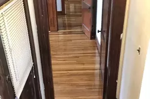 36 Seymour St, Boston, MA 02131 - Photo 10