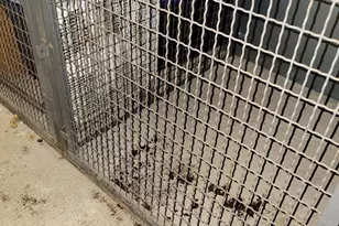 30 Revere Beach Pkwy, Medford, MA 02155 - Photo 26