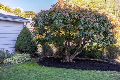 63 Marlboro Street, Dedham, MA 02026 - Photo 10