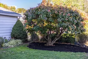 63 Marlboro St, Dedham, MA 02026 - Photo 10