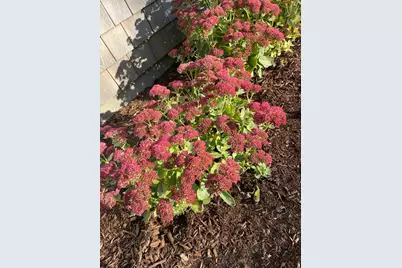 30 Pawtuxet Rd, Plymouth, MA 02360 - Photo 40