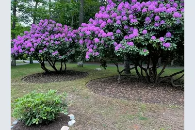 19 Roosevelt Rd, Plymouth, MA 02360 - Photo 34