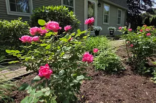 24 E View Dr, Agawam, MA 01030 - Photo 6