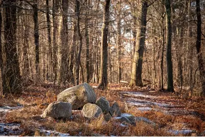 0 Belcher, Essex, MA 01929 - Photo 6