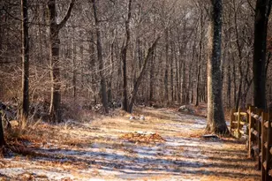 0 Belcher, Essex, MA 01929 - Photo 1