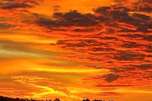 57 Long Point Rd, Lakeville, MA 02347 - Photo 34