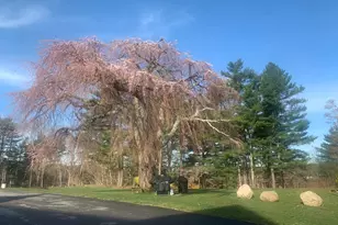 57 Long Point Rd, Lakeville, MA 02347 - Photo 38