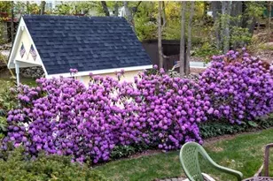 5 Glen Echo Shore Rd, Charlton, MA 01507 - Photo 34