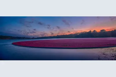 17 Inkberry Ln, Plymouth, MA 02360 - Photo 30