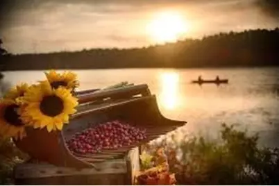 17 Inkberry Ln, Plymouth, MA 02360 - Photo 28