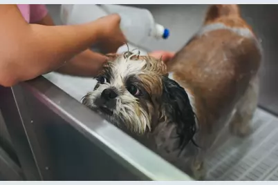 201 Sherman Road #622, Brookline, MA 02445 - Photo 8