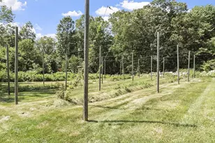 9a Ashley Rd, Southborough, MA 01772 - Photo 38